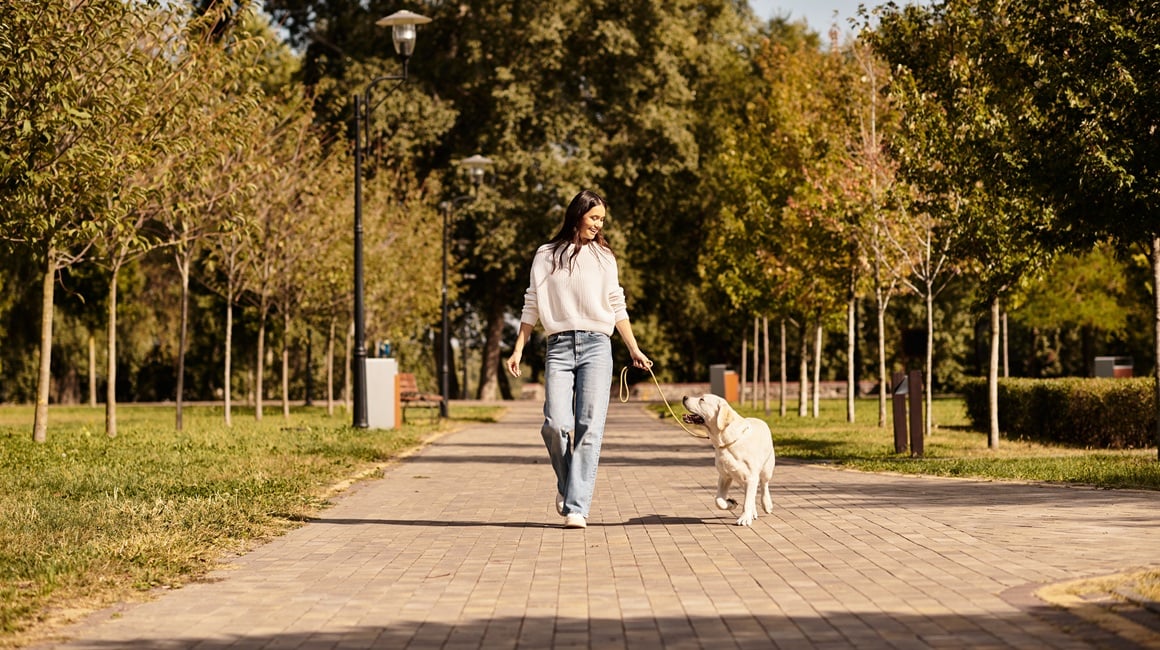 Kako redovite šetnje jačaju tijelo i poboljšavaju zdravlje